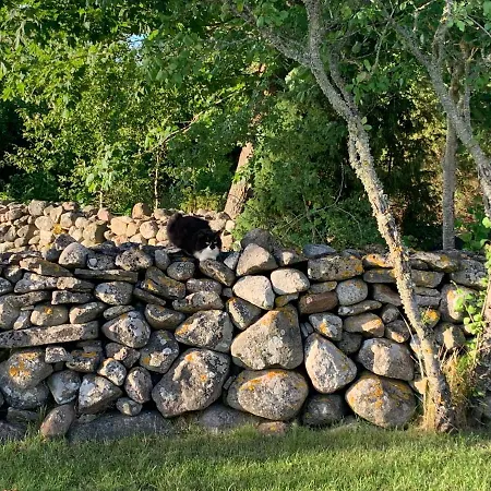 Kangru Дом отдыха Vanamoisa