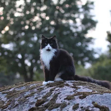 Kangru Дом отдыха *