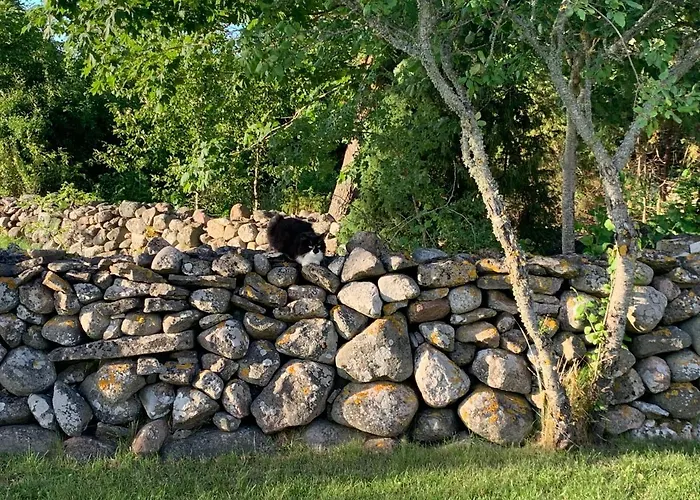 Kangru Ferienhaus Vanamõisa